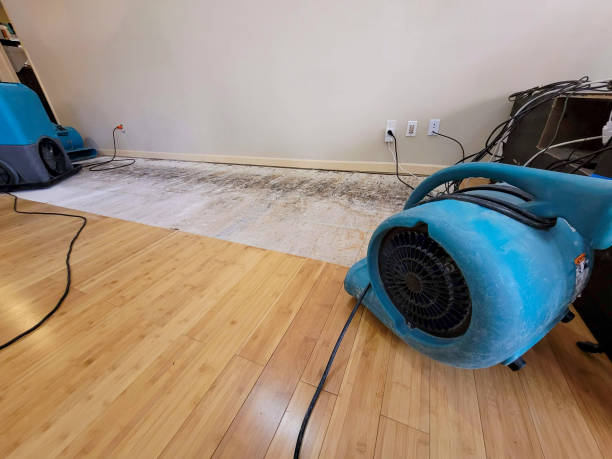 Professional Water Extraction technician working in Lodi, NJ